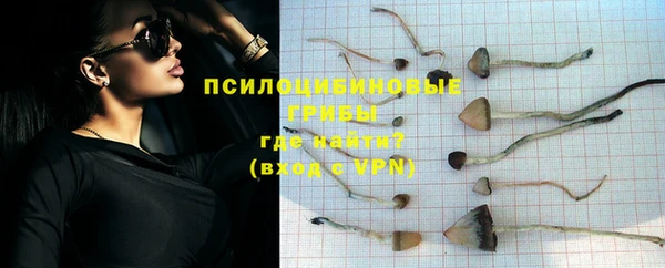 гидра Заволжск