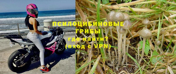 гидра Заволжск