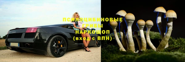 прущая мука Заводоуковск