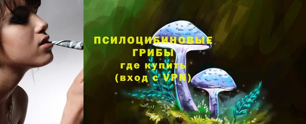 прущая мука Заводоуковск