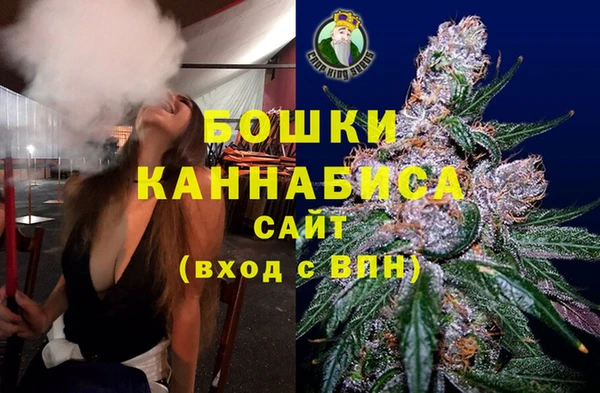 гидра Заволжск