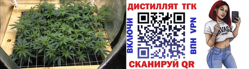 Купить закладки Гатчина ТГК вейп