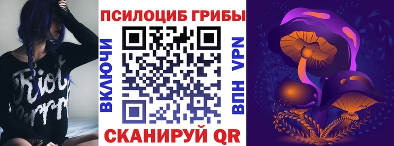 Купить закладки  Гатчина  Псилоцибиновые грибы Magic Shrooms 